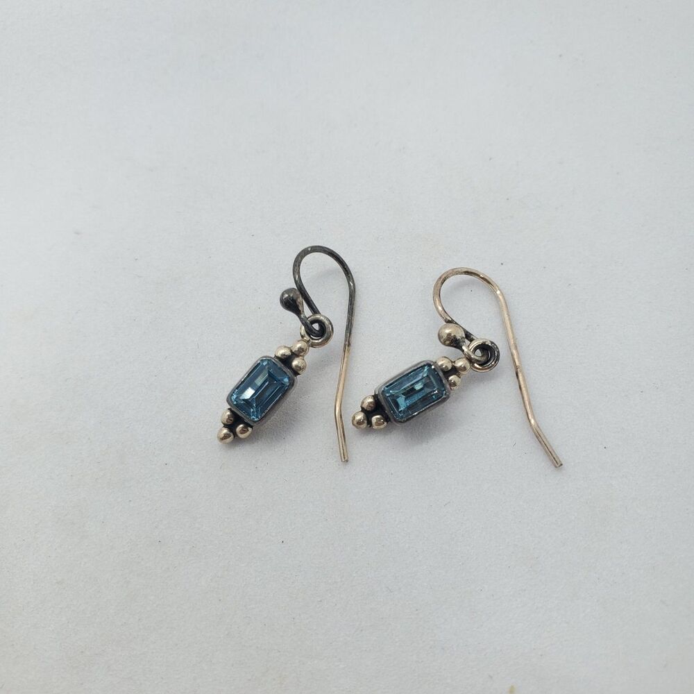 Native Sterling Silver Blue Stone Dangle Earrings 925